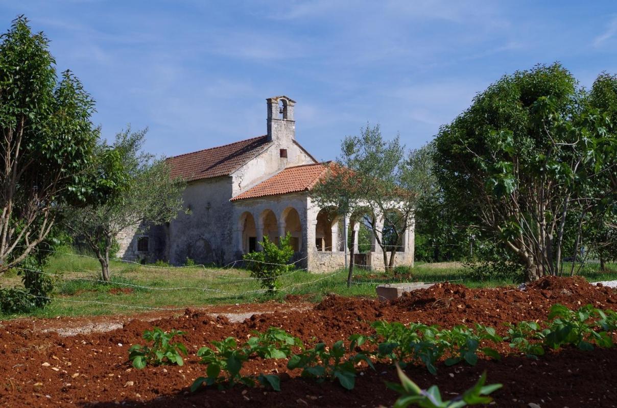 Svetvinčenat House Oliva, Sveti Kirin 빌라 외부 사진